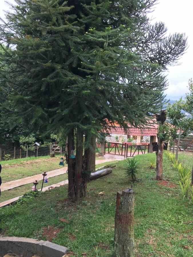 Casa De Campo Em Monte Verde , Linda Vista Para Montanhas Екстер'єр фото